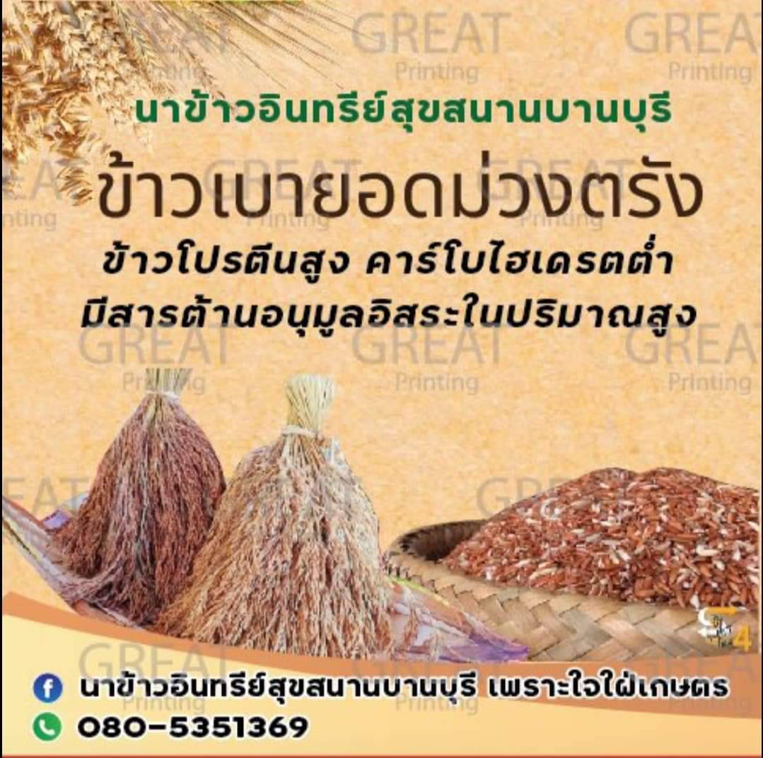 วิสาหกิจชุมชนแปรรูปผลผลิตทางการเกษตรบ้านควนอารี