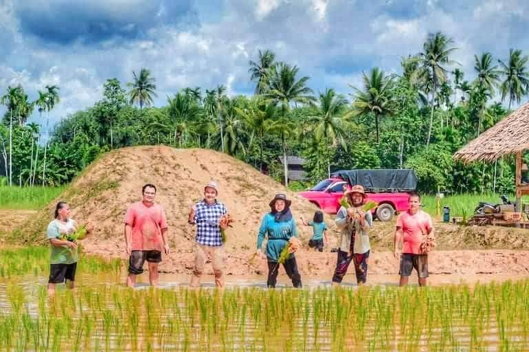กิจกรรมส่งเสริมพื้นที่สีเขียวภายใต้โครงการอนุรักษ์พันธุกรรมพืช อันเนื่องมาจากพระราชดำริฯ