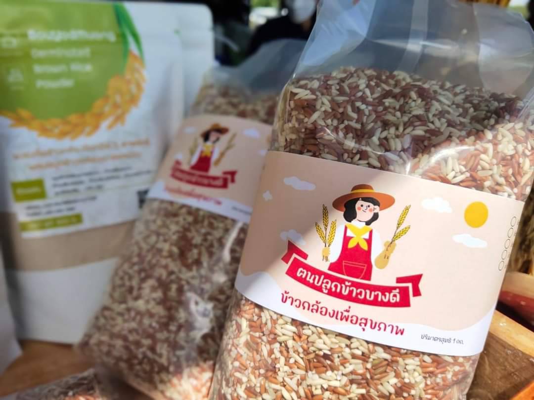 ข้าวเบายอดม่วง ของดี ของคนบางดี